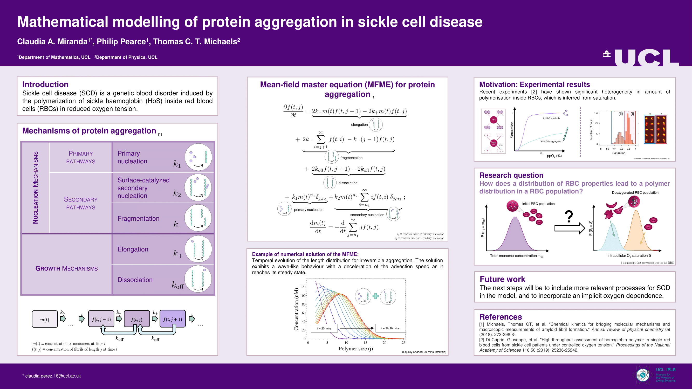 Mathematical modelling of protein aggregation in sickle cell disease